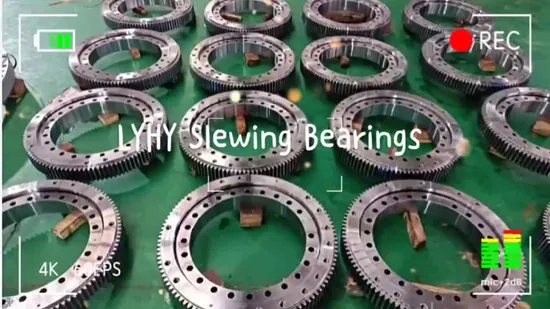 Small Bearing Crossed Roller Bearing Slewing Ring Bearings Turntable Bearing Rotary Bearing Toothless Bearing 110.270.16